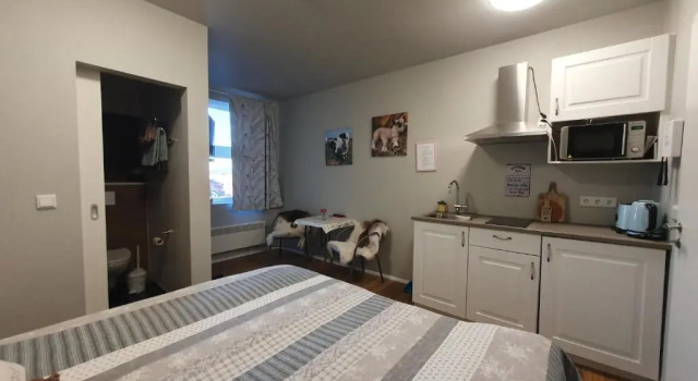 Студия Standard Skálatjörn Guesthouse