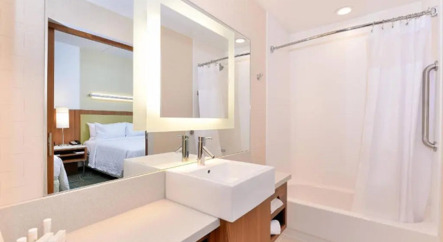 Студия SpringHill Suites by Marriott Raleigh Cary