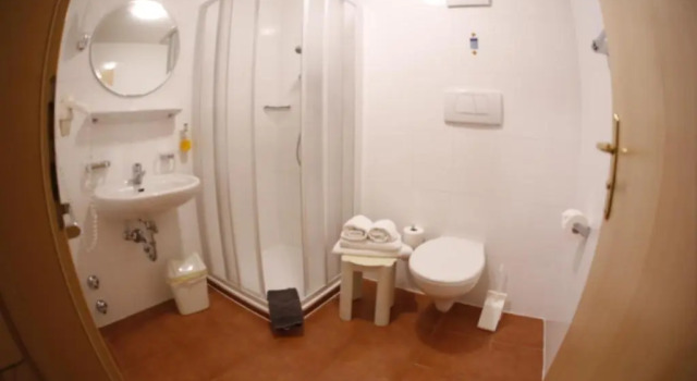 Номер Economy Almhotel Bergerhof