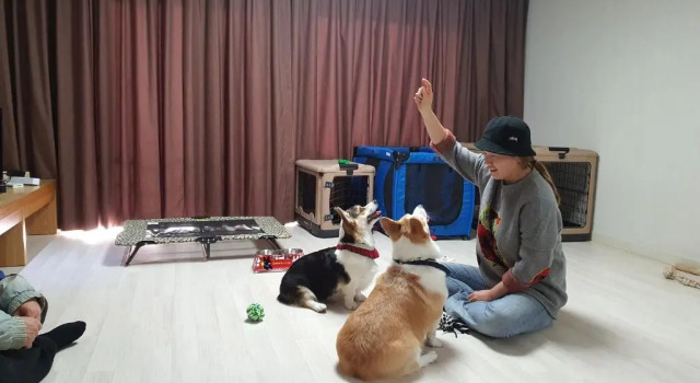 Номер Standard Hi Jeju Hotel