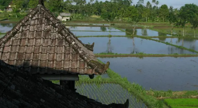 Swallow Guesthouse