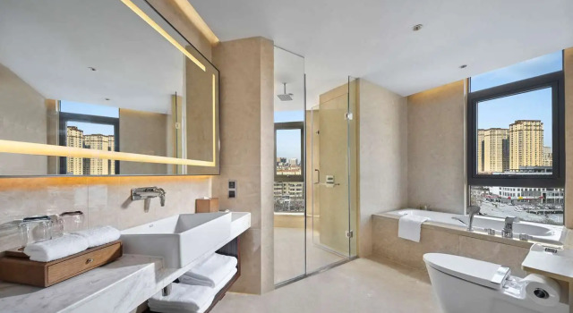 Номер Deluxe Hilton Garden Inn Heze