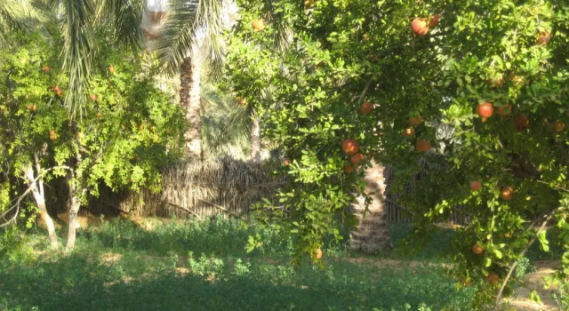 Коттедж с 3 комнатами Maison Proche De Désert Douz