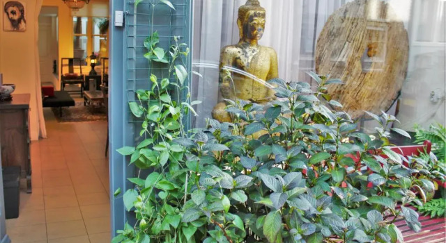 Апартаменты Amsterdam Lily apartment