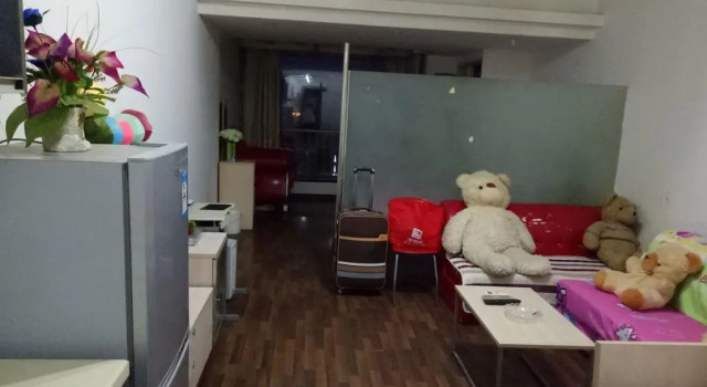 Sunshine 100 Hotel Apartment, Prenota Appartamento Appartamenti a Changsha, Appartamento