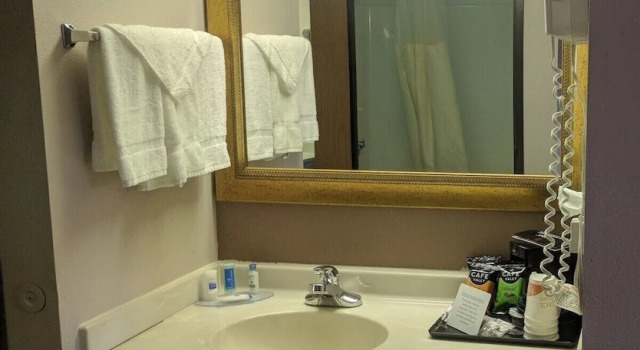 Номер Economy Royal Inn Suites