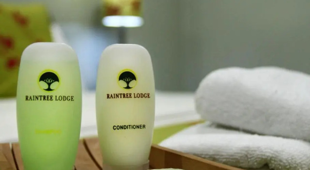 Номер Standard с красивым видом из окна Raintree Lodge