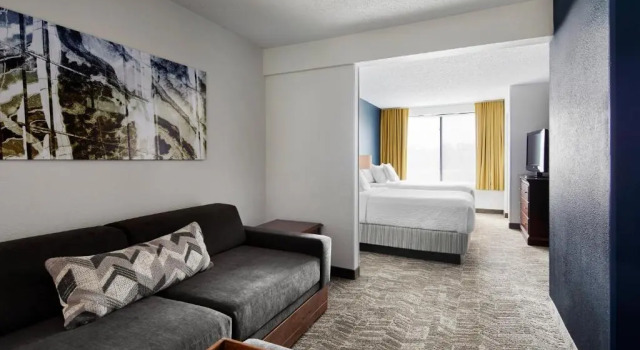 Люкс SpringHill Suites by Marriott Richmond North/Glen Allen