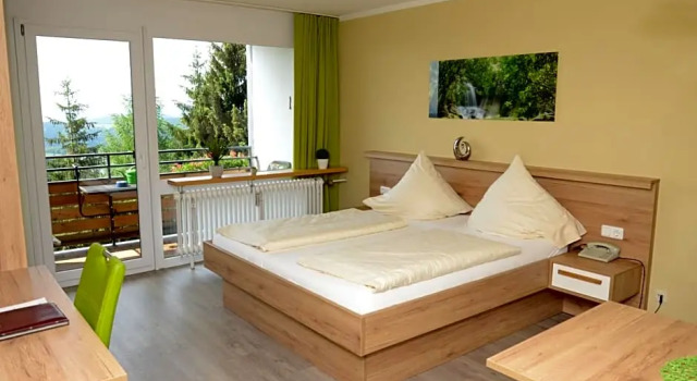 Одноместный номер Standard Haus Bayerwald
