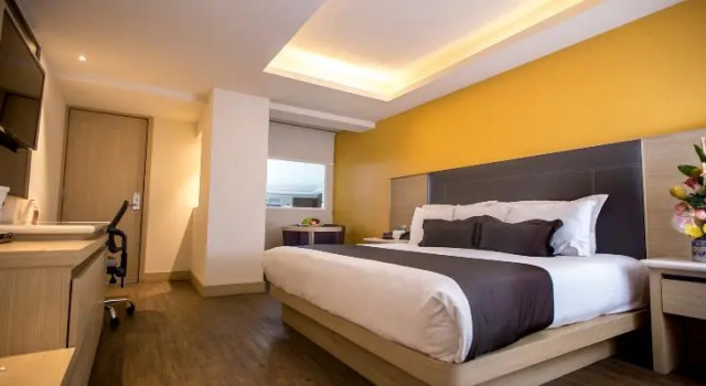 Одноместный номер Executive Plaza Poblana