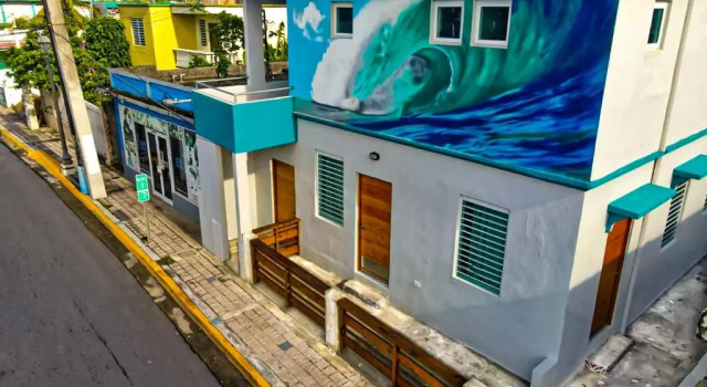 Bett im Wohnheim The Surfing Turtle