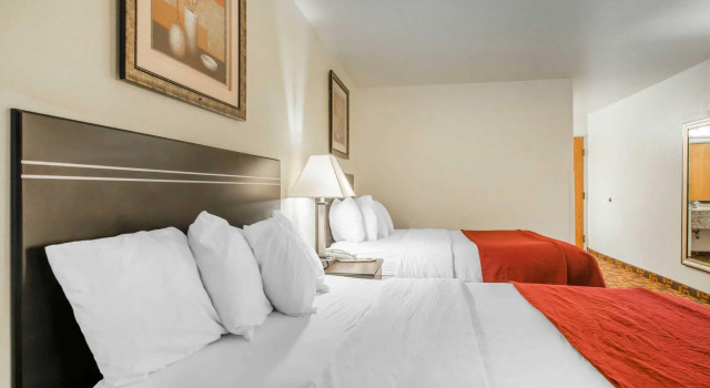 Четырёхместный номер Standard Quality Inn & Suites Limon