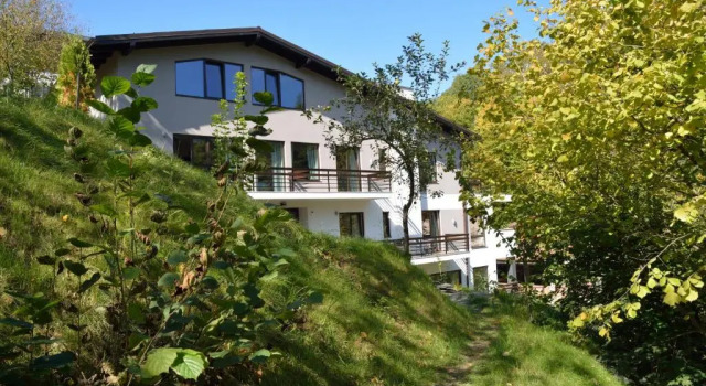 Вилла Deluxe GreenHill Brasov
