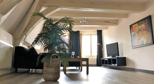 Апартаменты с 2 комнатами Hotel de Vischpoorte, centrum Deventer en aan de IJssel