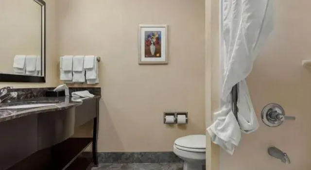 Четырёхместный люкс Comfort Inn & Suites Camden
