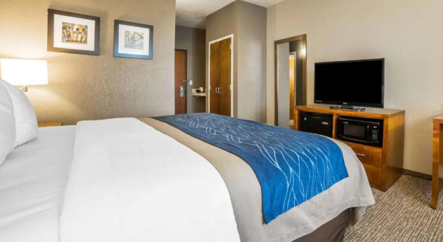 Номер Standard Comfort Inn & Suites