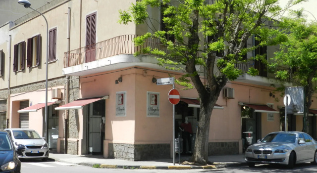 Actinia Accomodation