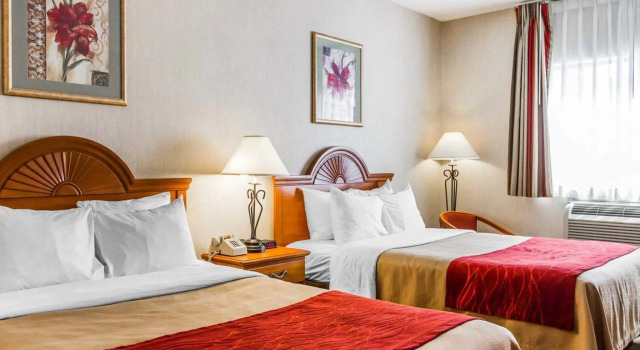 Четырёхместный номер Standard Comfort Inn Ellsworth - Bar Harbor