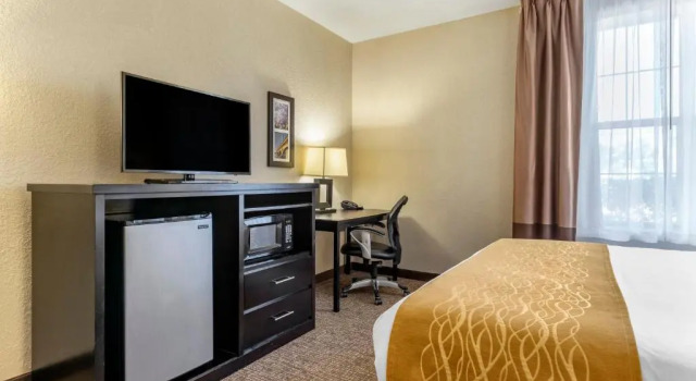 Номер Standard Comfort Inn & Suites