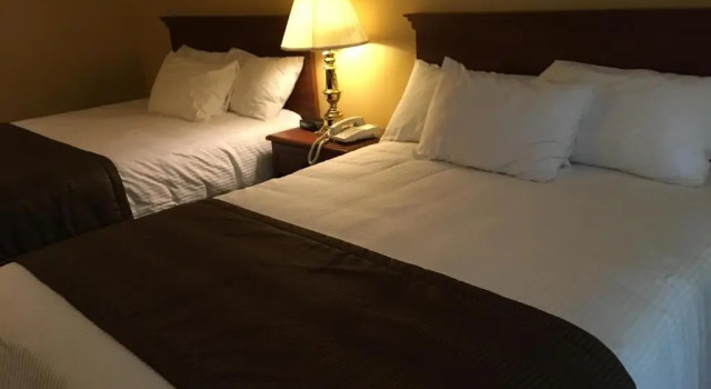 Четырёхместный номер Standard Motel Cofotel