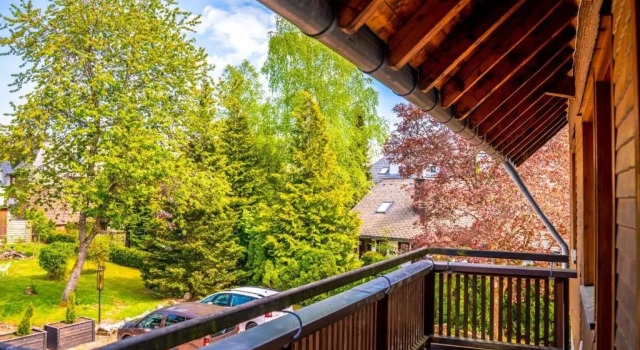 Одноместный номер Standard с балконом NATURION Hotel Hinterzarten