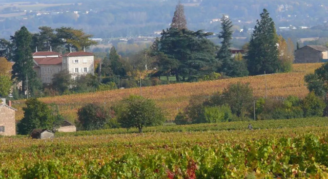 Коттедж с 4 комнатами Château de Grandmont - Escale authentique au coeur des vignes