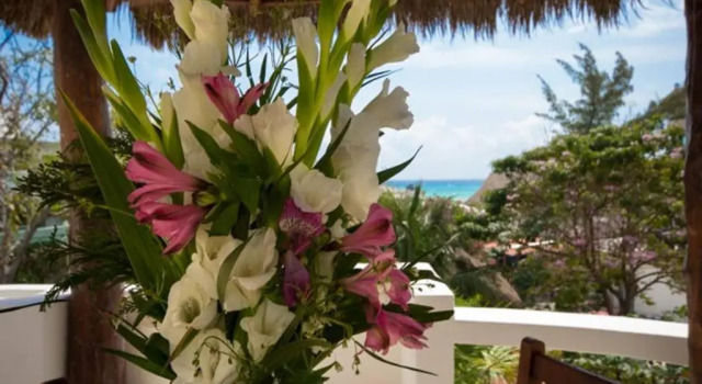 Апартаменты Superior 3 Bedroom Suite in DT Playa del Carmen with Pool!