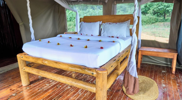 Migunga Tented Camp, Rezervasyon Tatil Evi Arusha Tanzanya