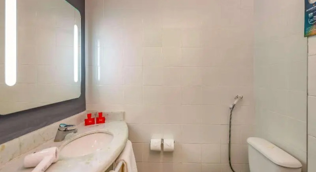 Апартаменты ibis Paulinia