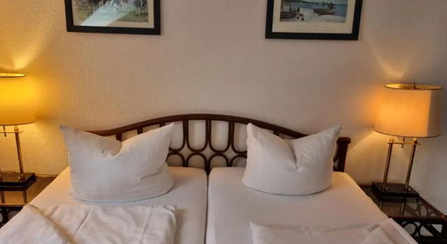 Двухместный номер Standard Erbenholz Hotel