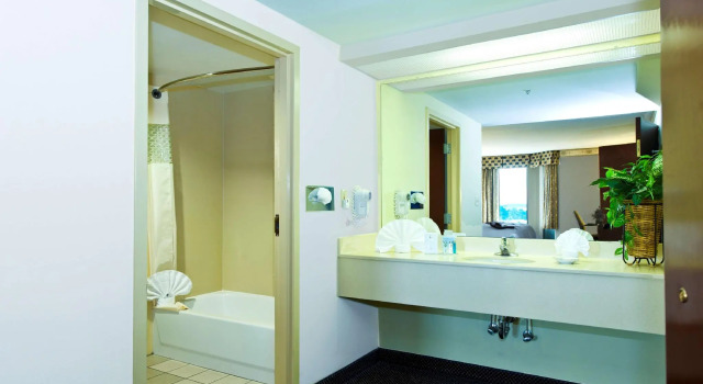 Двухместный номер Standard Hampton Inn & Suites-Atlanta Airport North-I-85