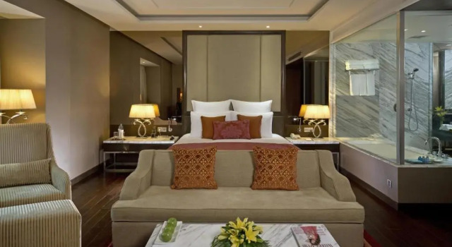 Двухместный полулюкс Radisson Blu Jaipur