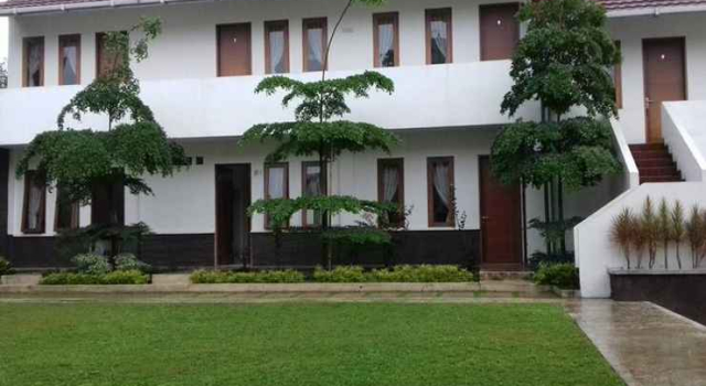 The Cordyline Guesthouse