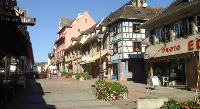Maison Bleue, Réserver Appartement Appartements à Saverne, Appartement