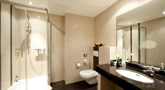Люкс с видом на озеро Seehotel