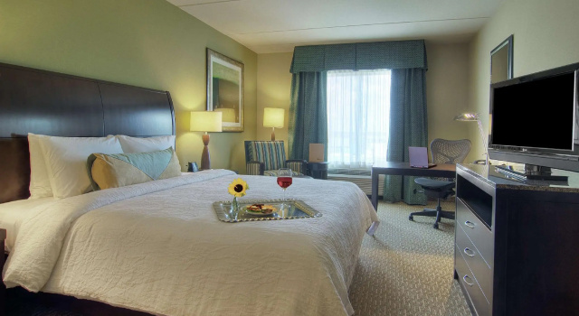 Двухместный номер Standard Hilton Garden Inn Houston-Pearland