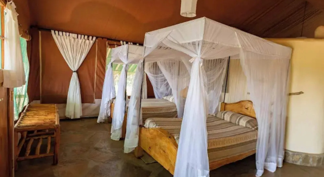 Номер Standard Kibo Safari Camp