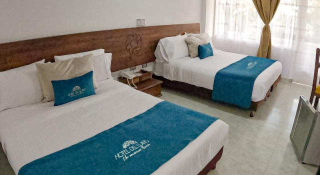 Standard double chambre avec balcon Hotel del Llano