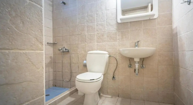 Номер Economy Cactus Hotel
