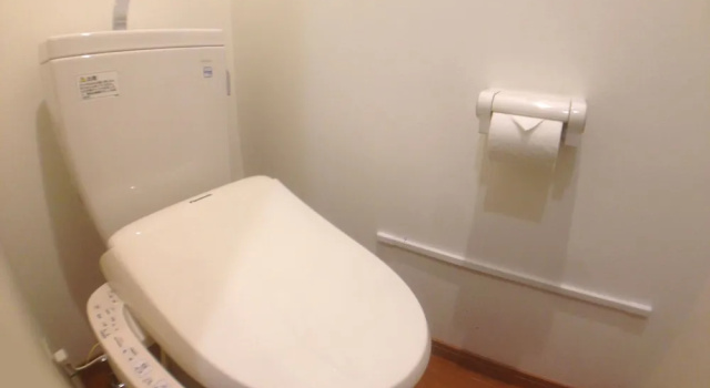 Номер Standard с балконом Nice Inn Hotel Ichikawa Tokyo Bay