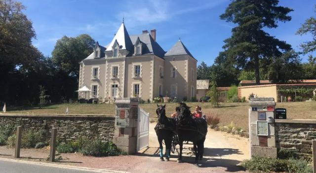 Номер Deluxe Château des Cèdres