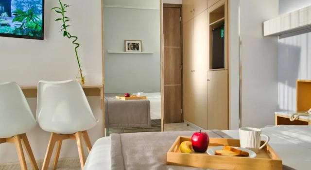 Двухместный номер Standard Acropol Hotel