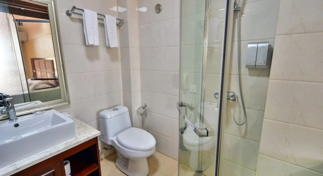 Standard double chambre Arirang Hotel