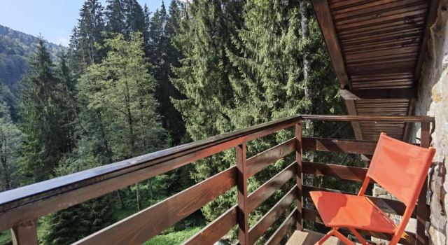 Апартаменты Cabana Zimbru Transfagarasan