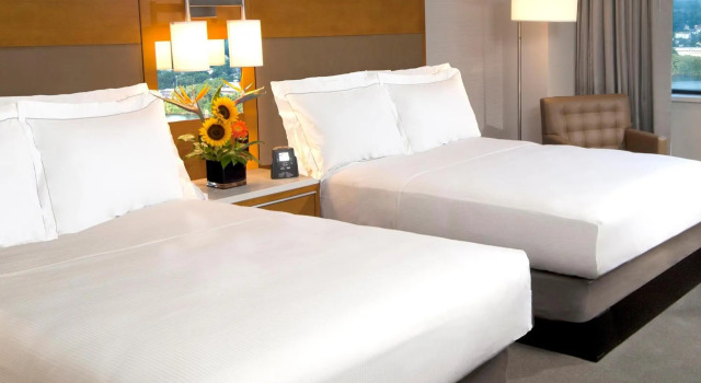 Четырёхместный номер Standard Hilton Albany