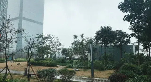 Xingxing Apartment, Prenota Appartamento Liuzhou Guangxi