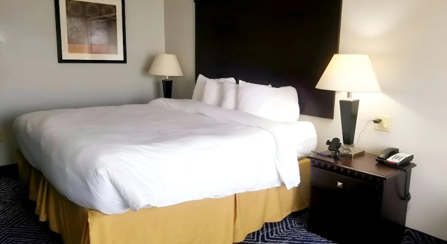 Двухместный номер Standard Comfort Inn & Suites Dallas Medical-Market Center