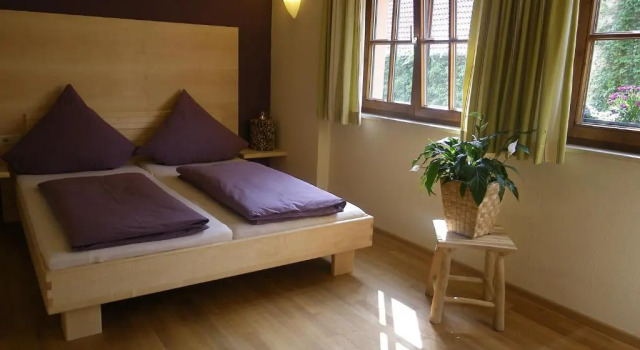 Двухместный номер Superior BIO Hotel Bayerischer Wirt Augsburg