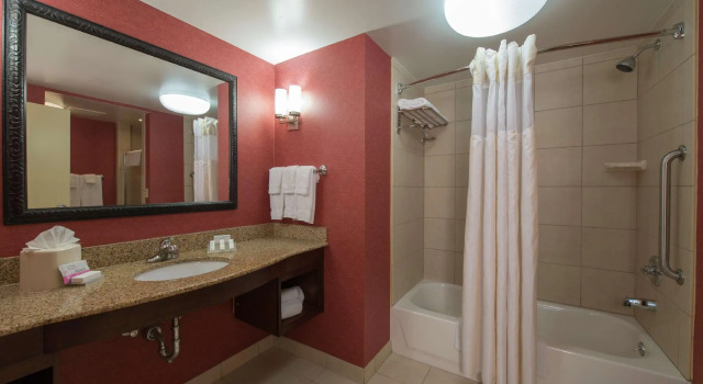 Четырёхместный номер Standard Hilton Garden Inn Tupelo