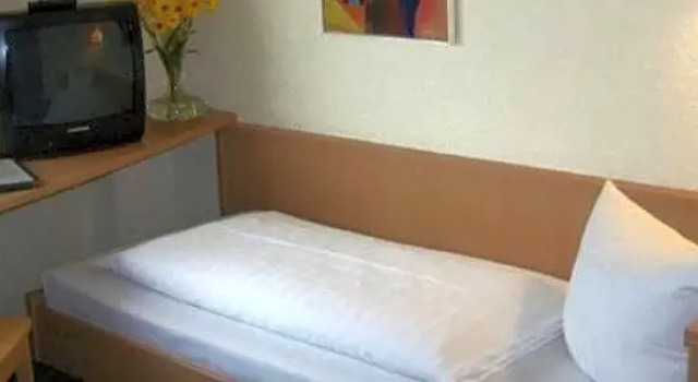 Номер Standard Hotel Goldener Karpfen